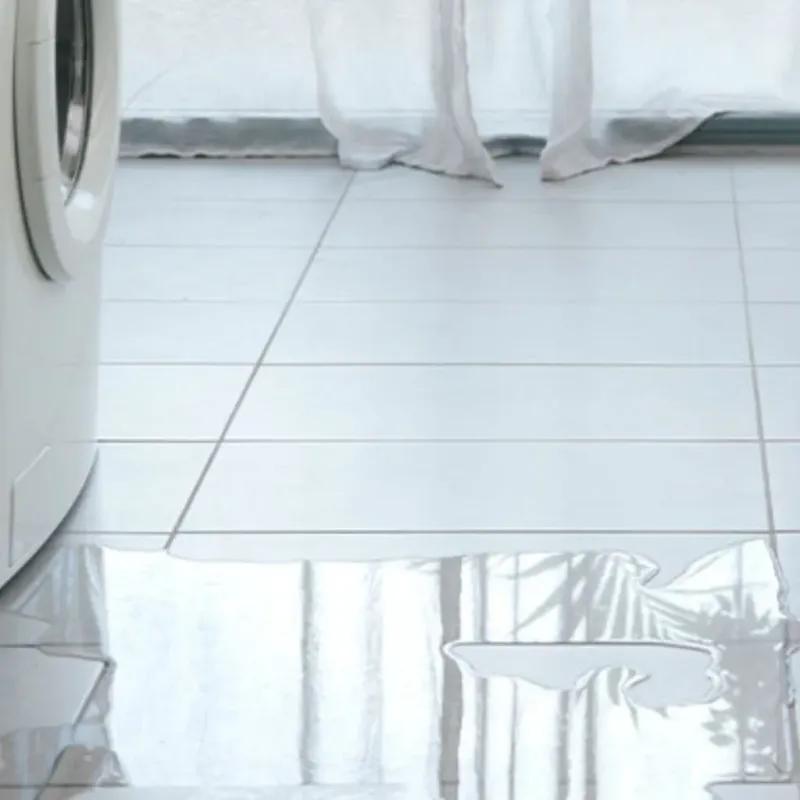 Appliance Leak Cleanup in Cameron County, TX