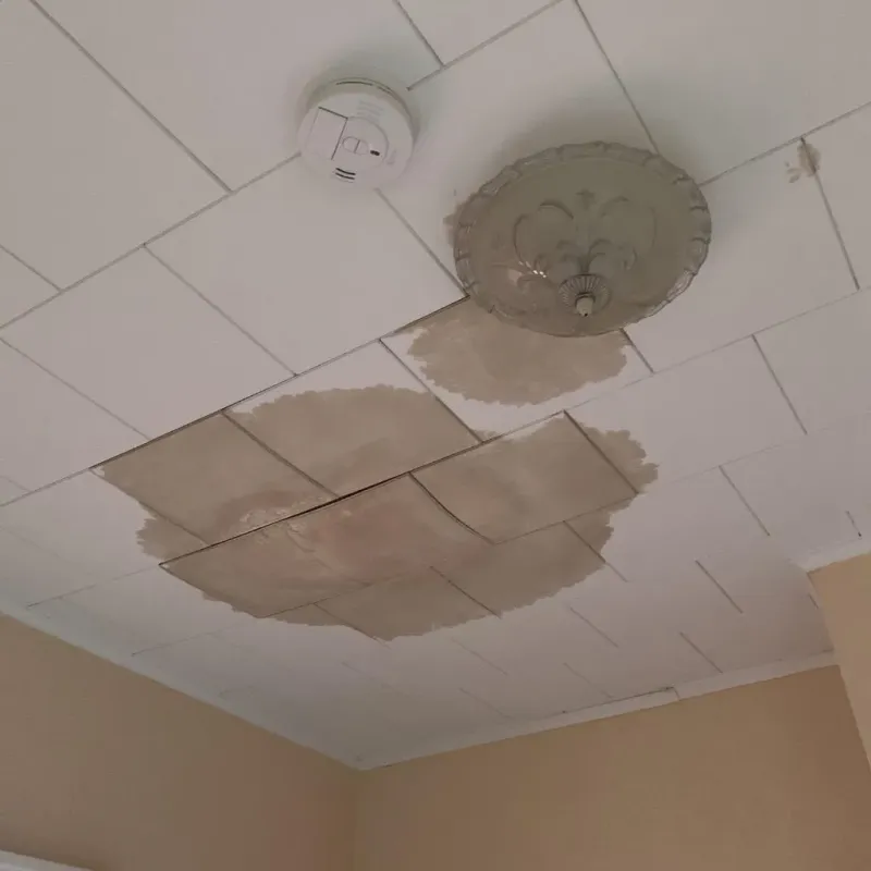 Ceiling Water Damage Repair in Cameron County, TX